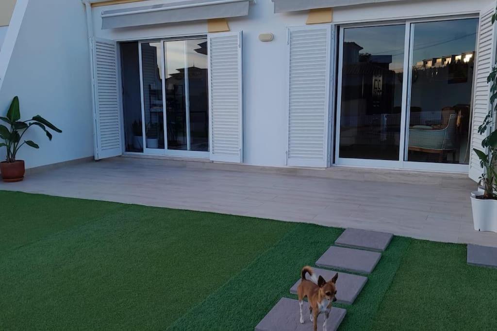 Gale Premium House - Pet Friendly Villa อัลบูเฟรา ภายนอก รูปภาพ