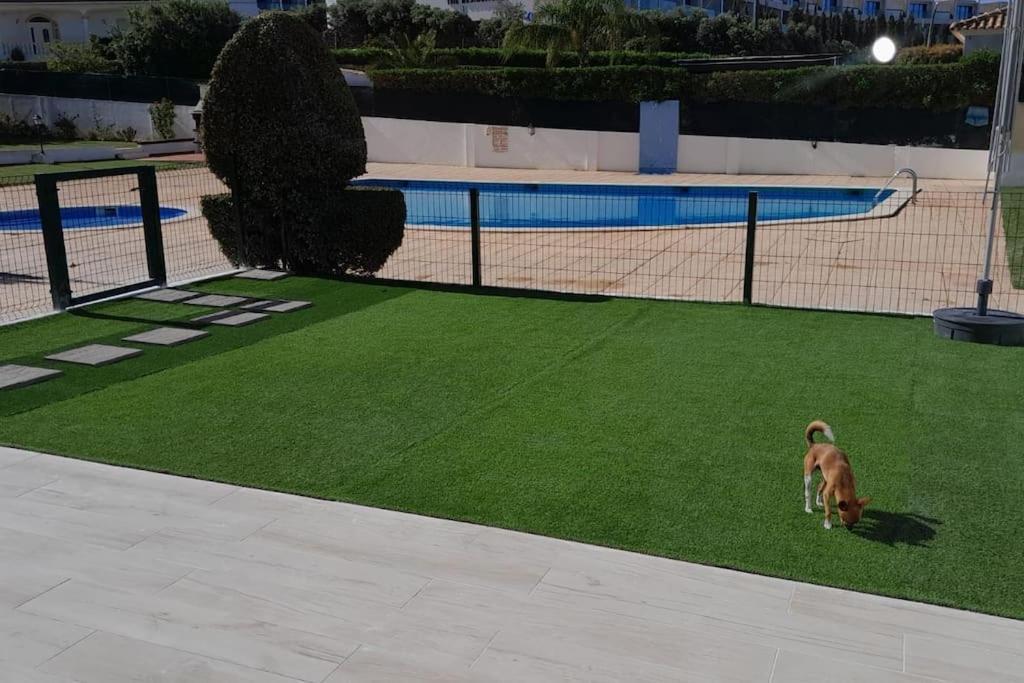 Gale Premium House - Pet Friendly Villa อัลบูเฟรา ภายนอก รูปภาพ