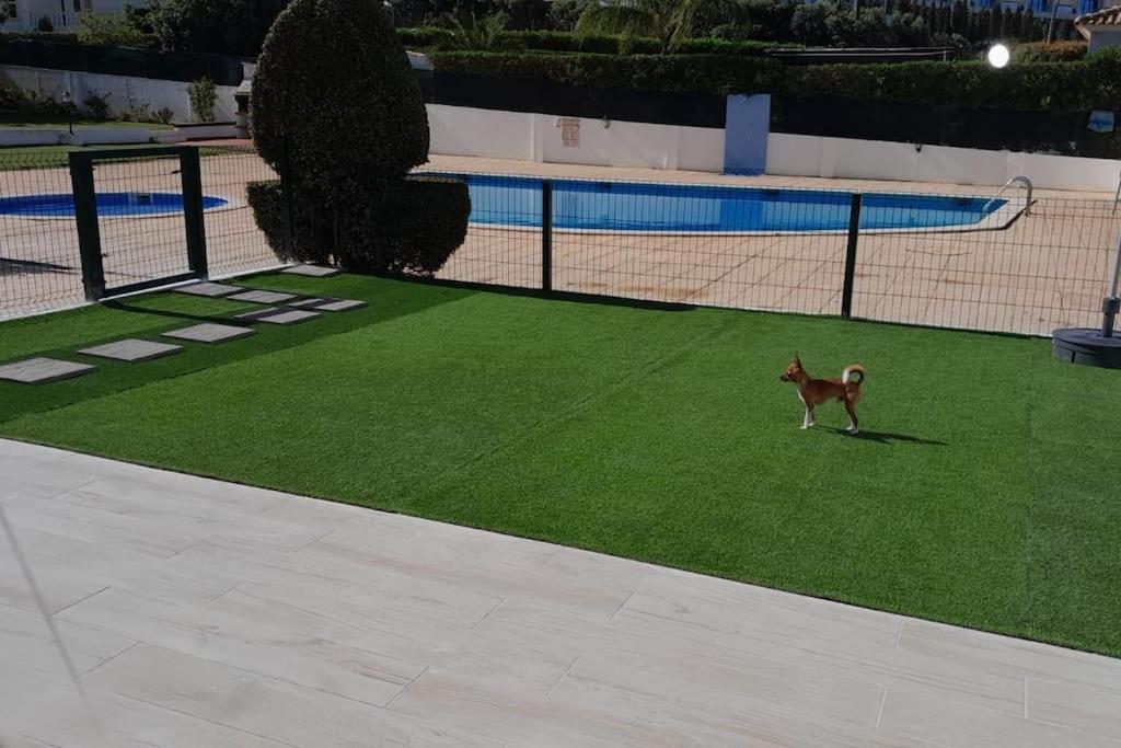 Gale Premium House - Pet Friendly Villa อัลบูเฟรา ภายนอก รูปภาพ